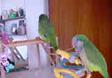 Enlarge MPEG 1