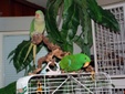 Enlarge photo 6