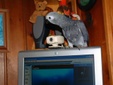 Enlarge photo 9