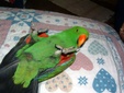 Enlarge photo 10