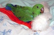 Enlarge photo 12