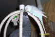 Enlarge photo 28