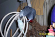 Enlarge photo 29