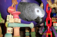 Enlarge photo 24