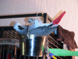 Enlarge photo 25