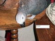 Enlarge photo 26