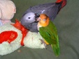 Enlarge photo 13