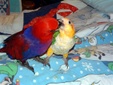 Enlarge photo 15