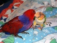 Enlarge photo 16