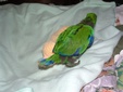 Enlarge photo 1
