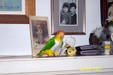 Enlarge photo 2
