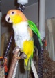Enlarge photo 6