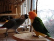 Enlarge photo 16