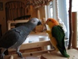 Enlarge photo 17