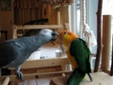 Enlarge photo 18