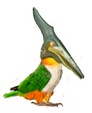 Enlarge photo 17