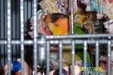 Enlarge photo 50