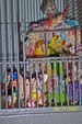 Enlarge photo 51
