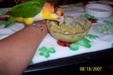 Enlarge photo 54