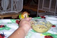 Enlarge photo 56