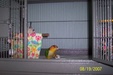 Enlarge photo 57