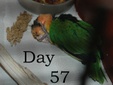 Enlarge photo 18