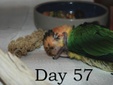 Enlarge photo 19