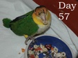 Enlarge photo 21