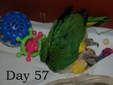Enlarge photo 20