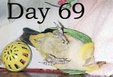 Enlarge photo 22