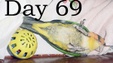 Enlarge photo 23