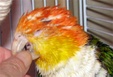 Enlarge photo 6