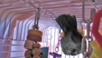 Enlarge photo 16