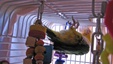 Enlarge photo 23