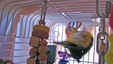 Enlarge photo 24