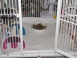 Enlarge photo 7