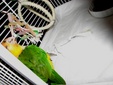 Enlarge photo 8