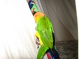 Enlarge photo 16