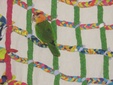 Enlarge photo 22
