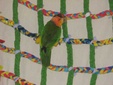Enlarge photo 23