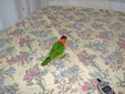 Enlarge photo 8