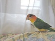 Enlarge photo 9
