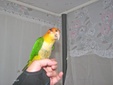 Enlarge photo 11