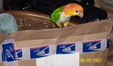 Enlarge photo 10