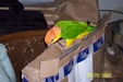 Enlarge photo 12