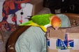 Enlarge photo 13