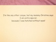 Enlarge photo 55