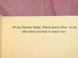 Enlarge photo 65