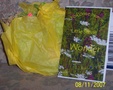 Enlarge photo 25