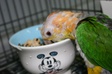 Enlarge photo 9